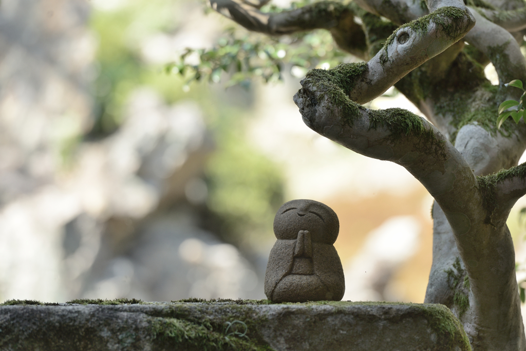 青岸寺３