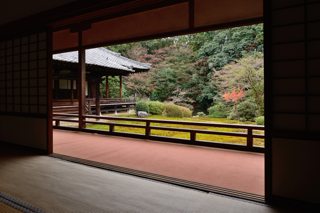 随心院　～冬の京都シリーズ～