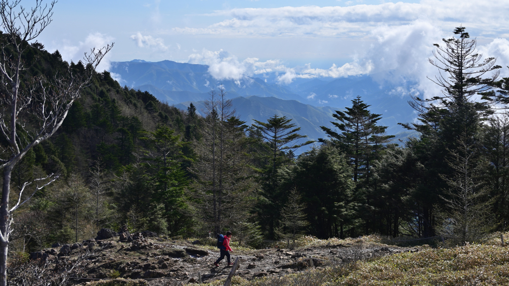 大菩薩嶺３　登山者がゆく