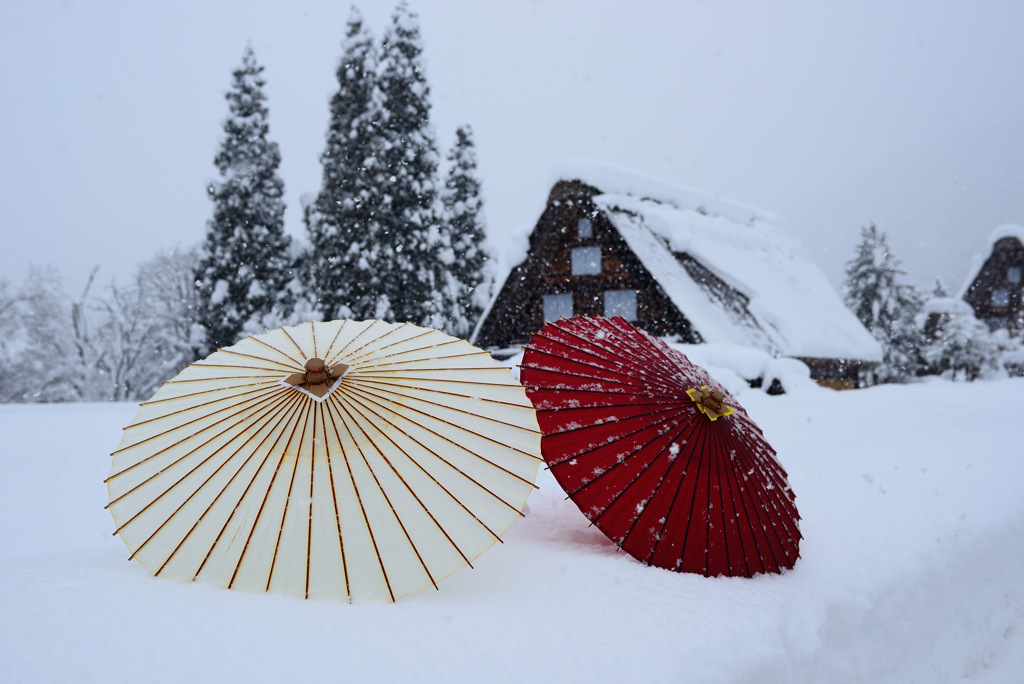 雪の白川郷