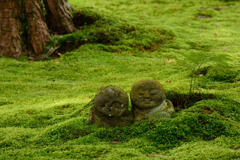 三千院２　苔の中