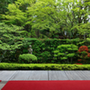 桂春院１