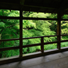 東福寺２　偃月橋