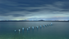 琵琶湖１　湖西の夜