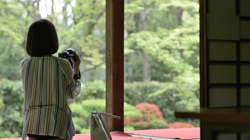 桂春院２　いいの撮れてますか？