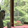 桂春院２　いいの撮れてますか？