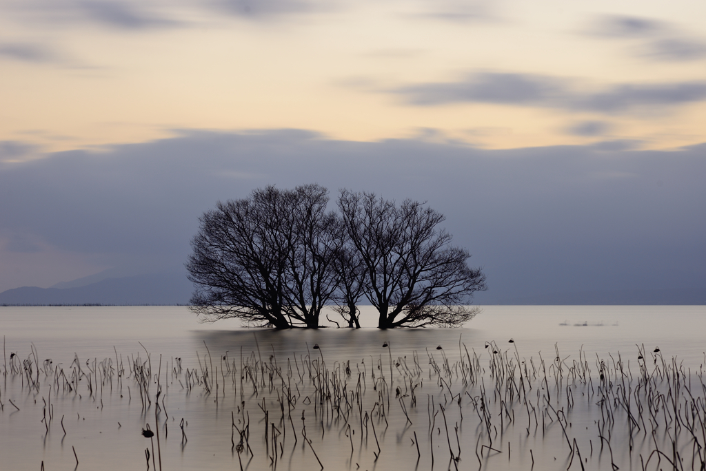 琵琶湖夕景２