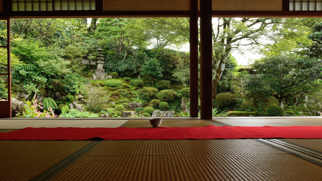 実光院１　～初秋の京都シリーズ～