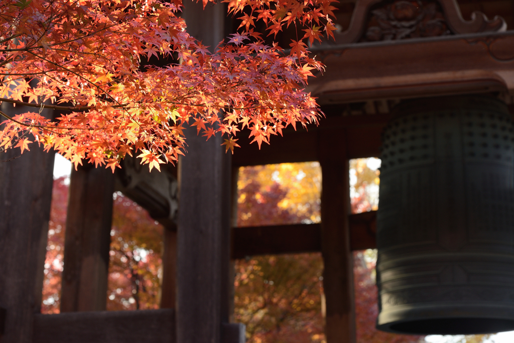 智積院２