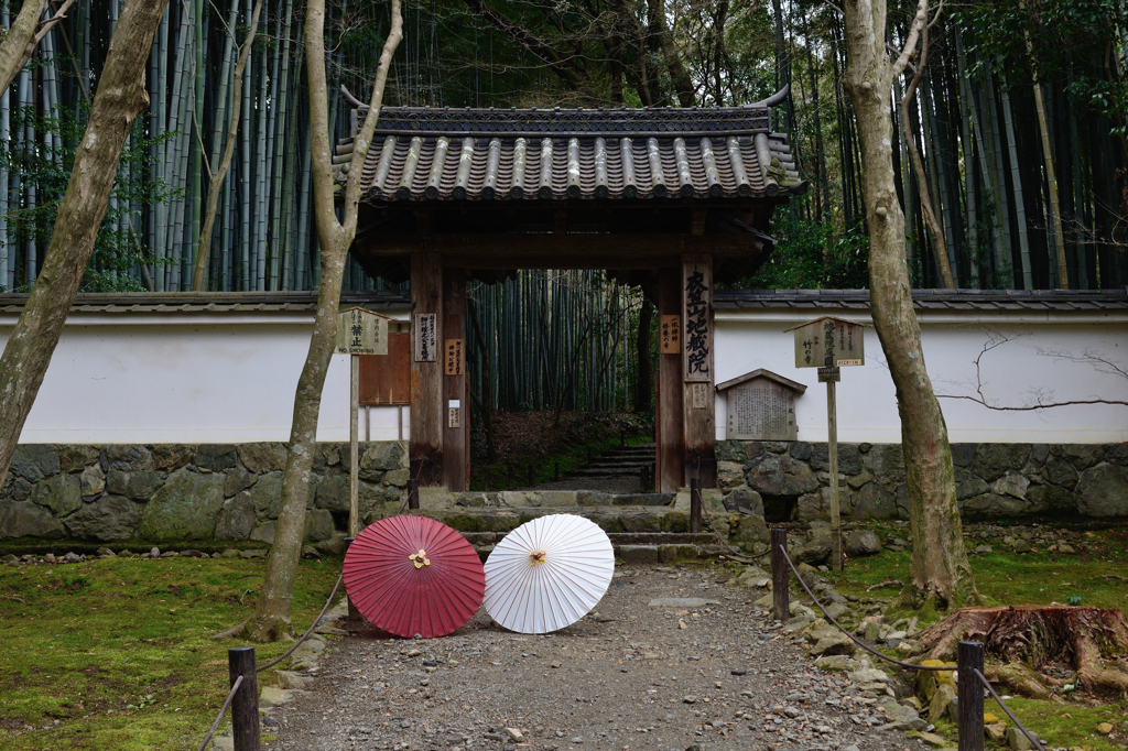 地蔵院１　冬の総門