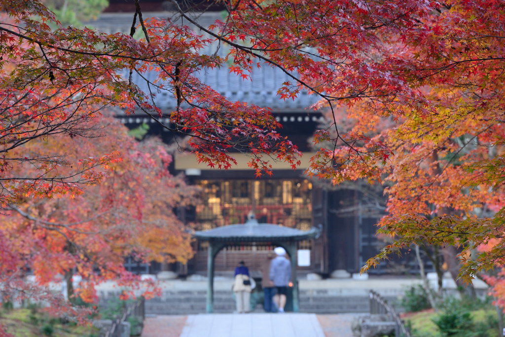 南禅寺　紅葉終盤