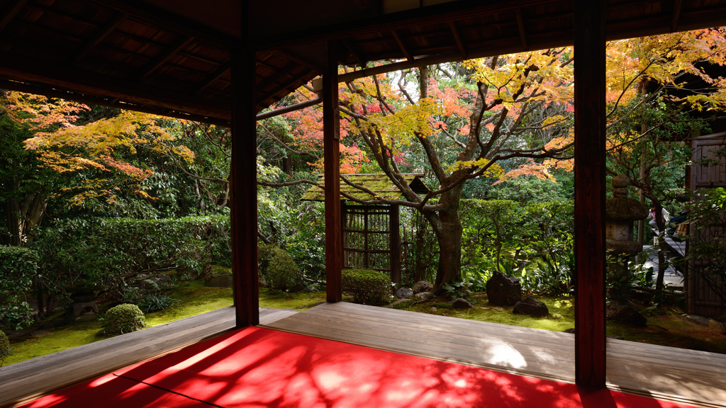 桂春院１　侘びの庭