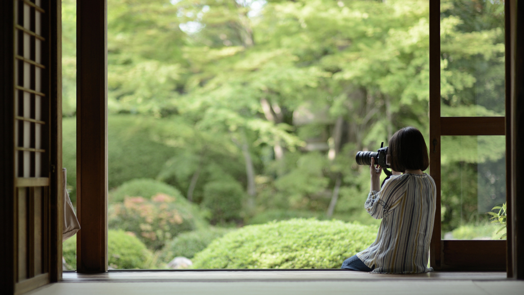 源光庵　いいの撮れてますか？