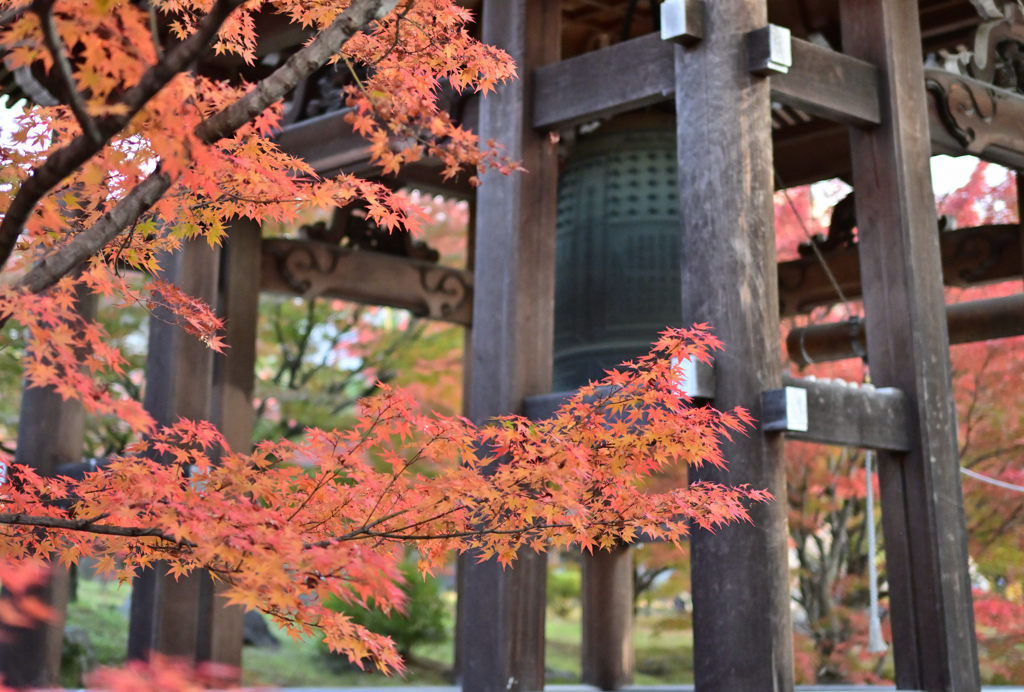 智積院