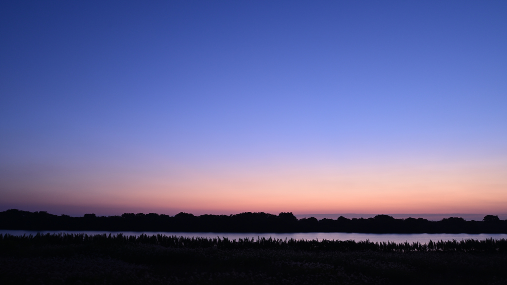夜明けの川