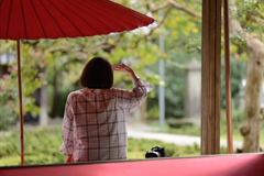 青岸寺２　サルスベリを眺めて