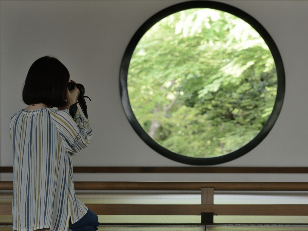 いいの撮れてますか？　