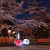 Beautiful JAPAN１