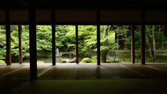 蓮華寺１