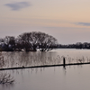 琵琶湖夕景３