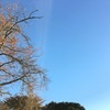 厚木基地の空