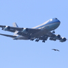 護衛機？