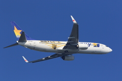 タイガースジェット