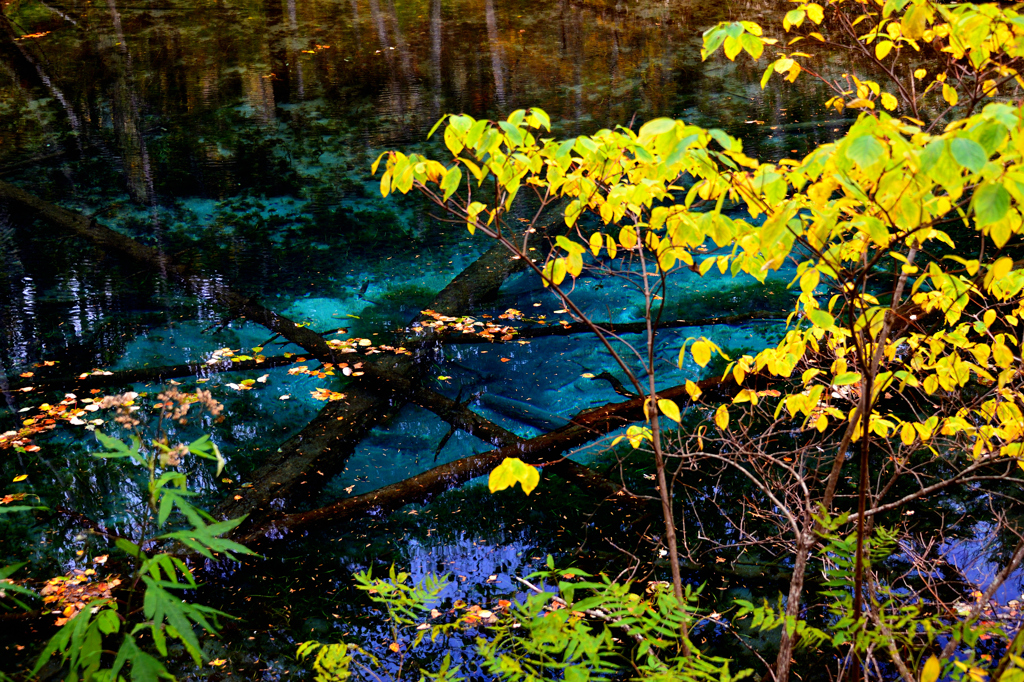 神秘の泉 神の子池 By Oka Totti Id 写真共有サイト Photohito
