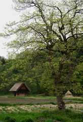 白川郷