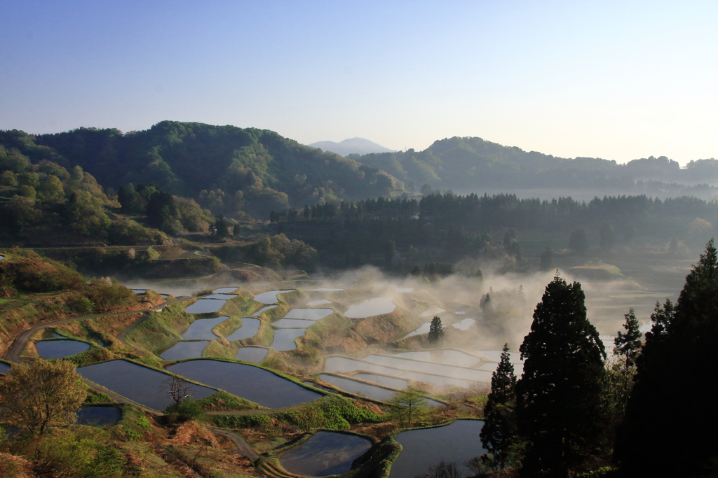 星峠の棚田