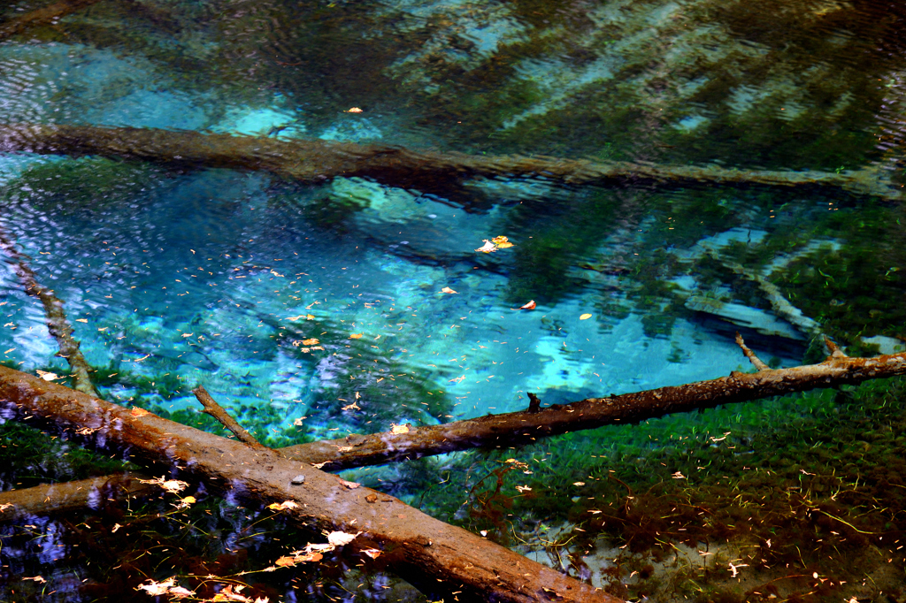 神秘の泉 神の子池 By Oka Totti Id 写真共有サイト Photohito