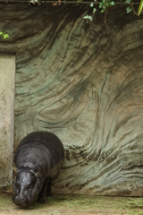 動かないんだと拗ねてみる＠Ueno Zoo