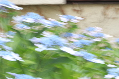 風になって