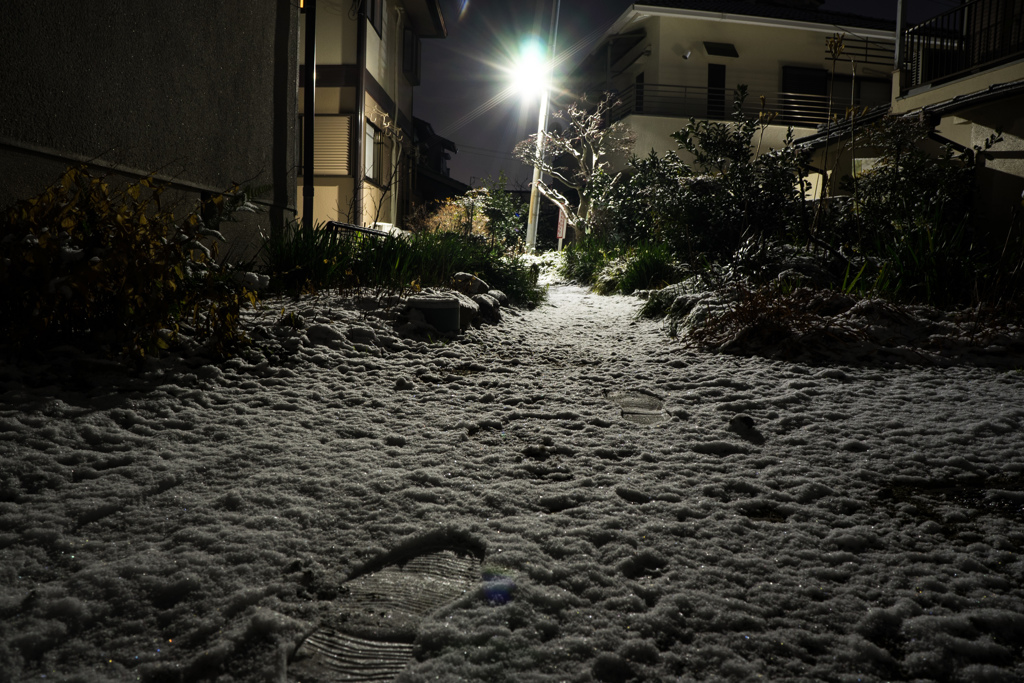 雪化粧って程も降ってないけど