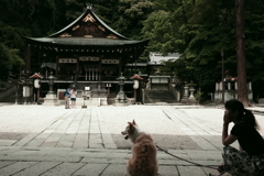 日牟禮八幡宮