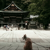 日牟禮八幡宮