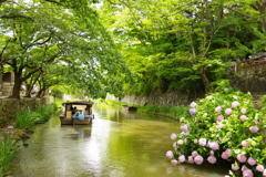 八幡堀