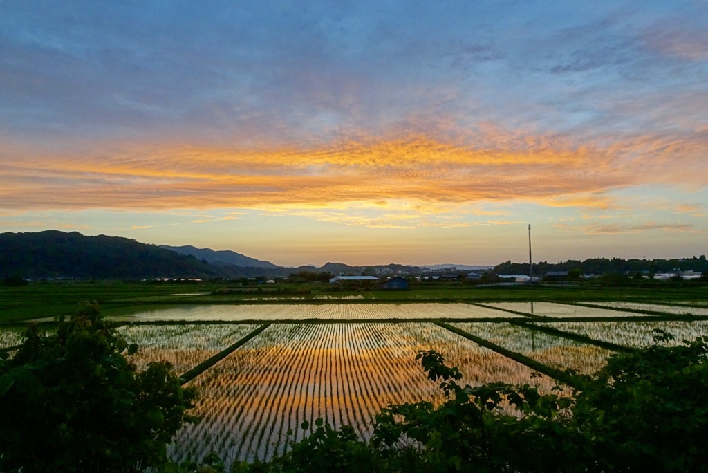 宮崎の夕焼け