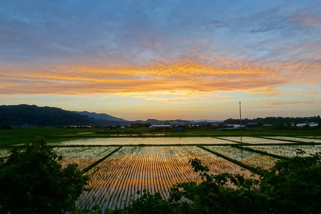 宮崎の夕焼け