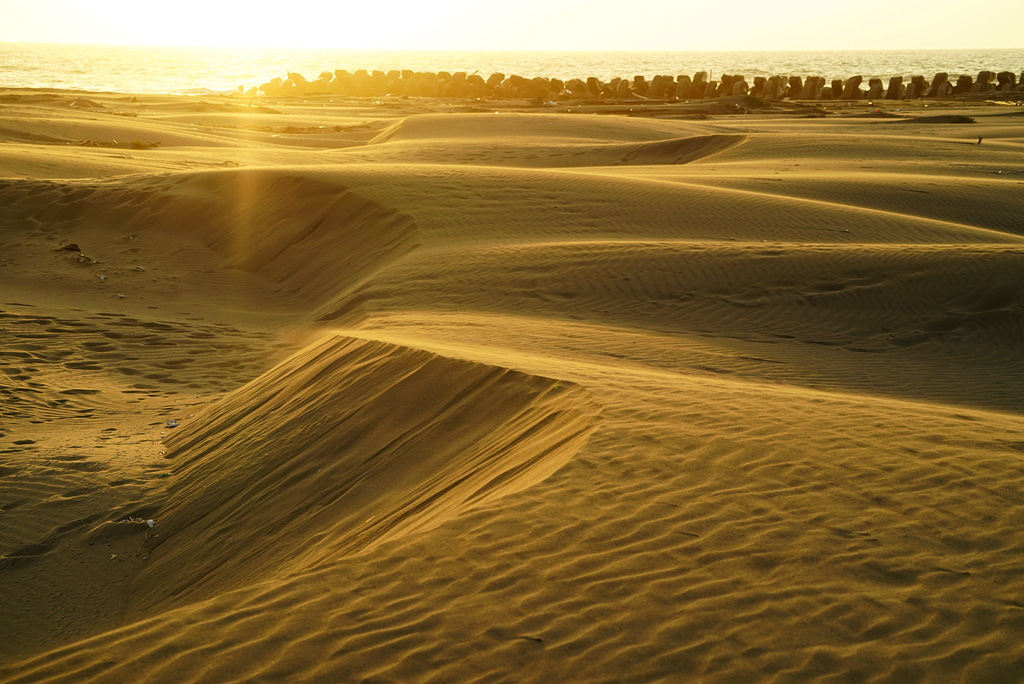 砂丘を照らす光