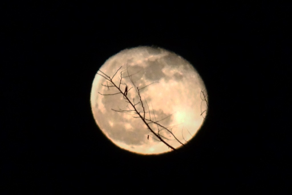 イブに見上げた夜空に