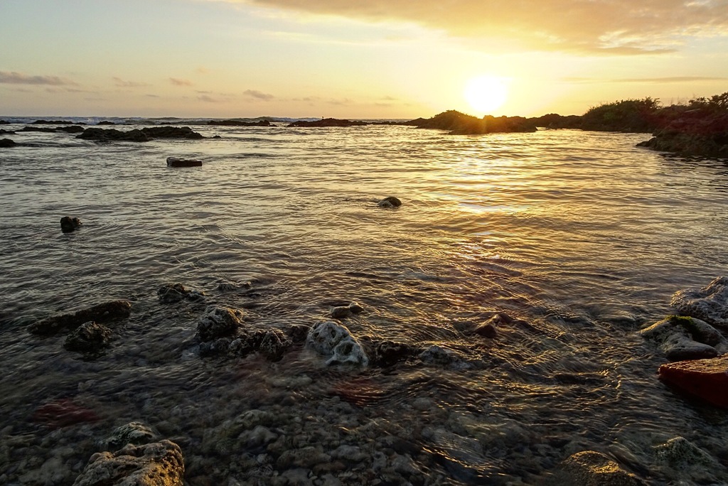 汚れなき海