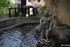 三室戸寺 像