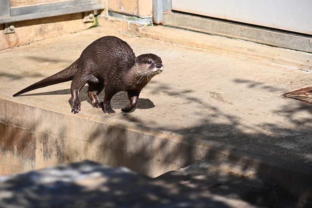 2021/11/13 市川市動植物園にて