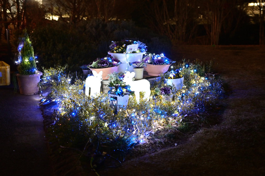  東松戸ゆいの花公園 クリスマスイルミネーション 2021