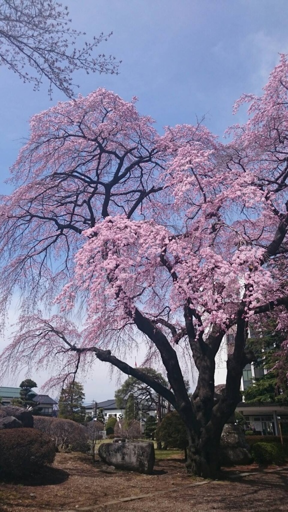 塩尻市役所にて