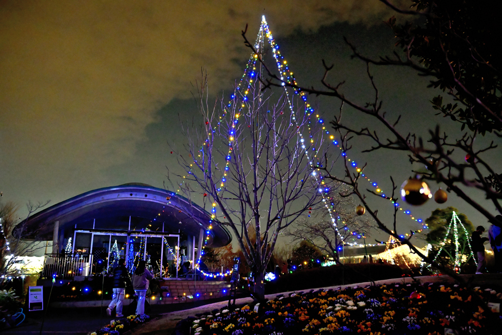  東松戸ゆいの花公園 クリスマスイルミネーション 2021