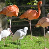 2021/11/13 市川市動植物園にて