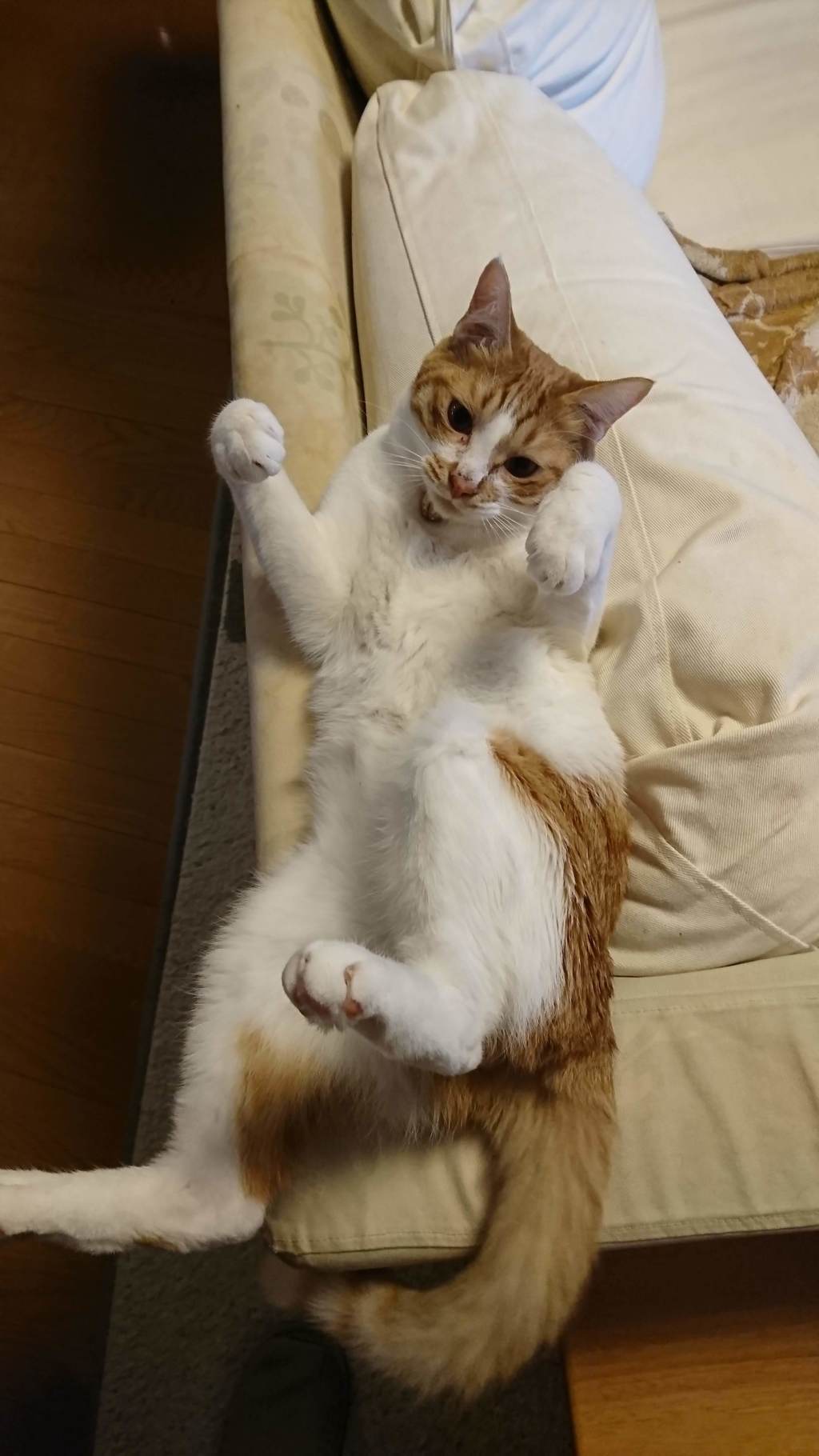 なぎ