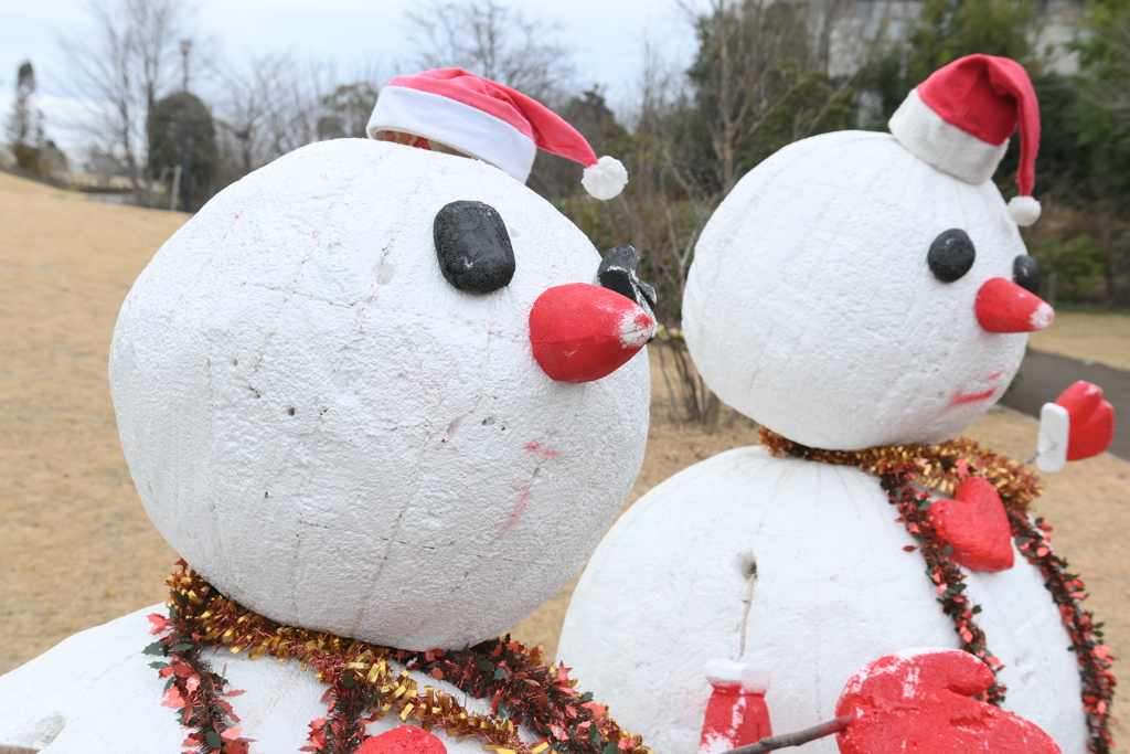 クリスマスの名残／ゆいの花公園